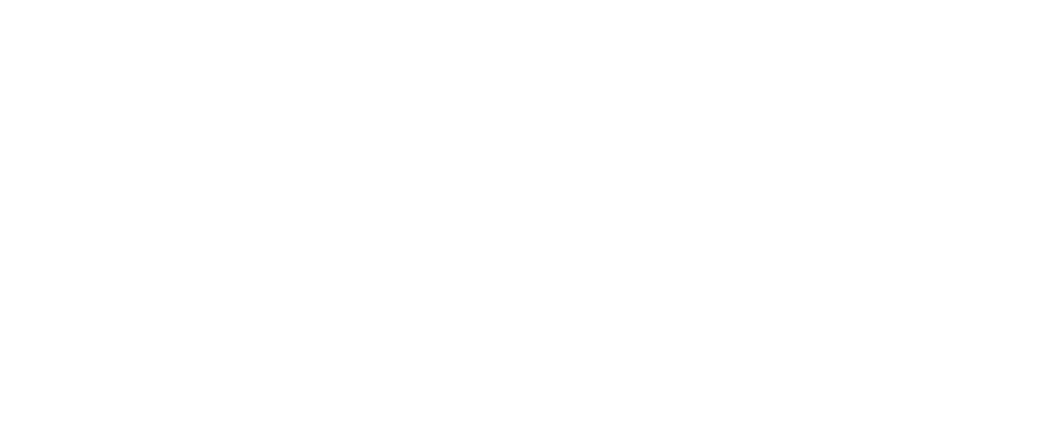 Dash Cam